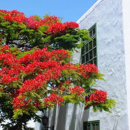 Casas Heddy, Well-being Hotel Puerto del Carmen (Lanzarote)